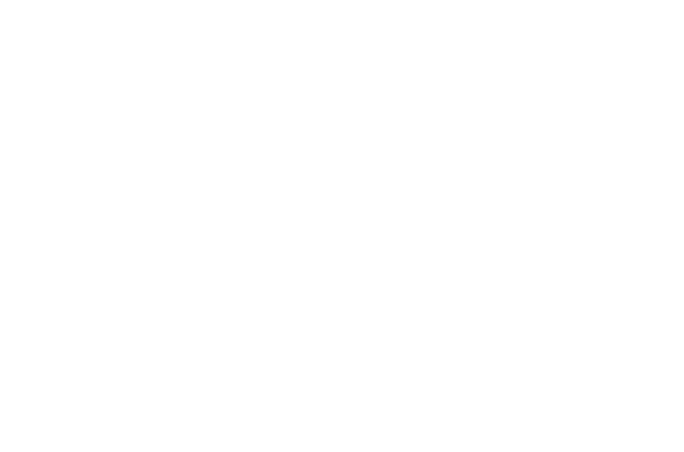 WhitePointerNet