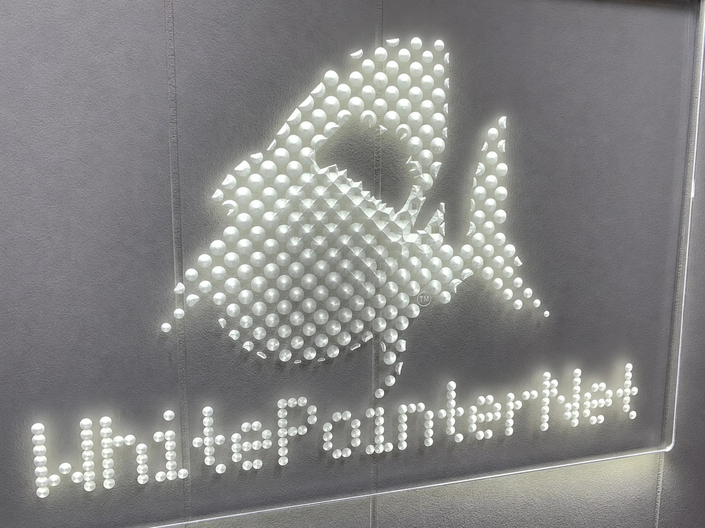 Illuminated WhitePointerNet sign at the Ambarvale headquarters.