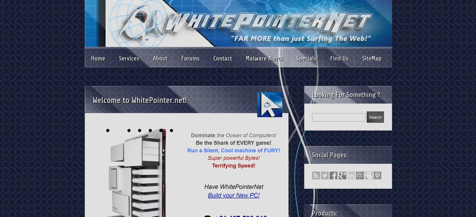 WhitePointerNet's early website with its second logo iteration, archived in 2015.
