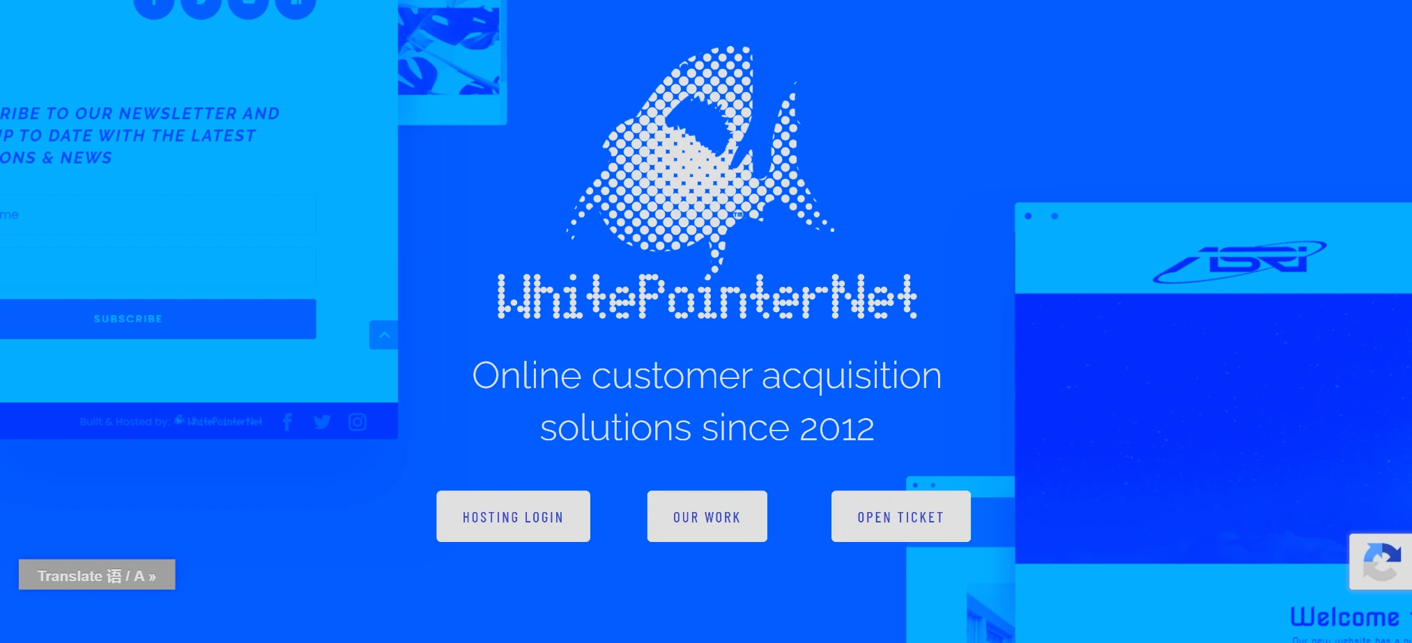 The WhitePointerNet website generation introduced in 2016, shown in its mature 2025 state.