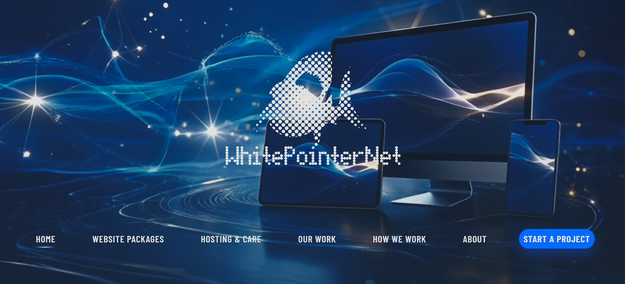 The new WhitePointerNet website introduced in 2026.